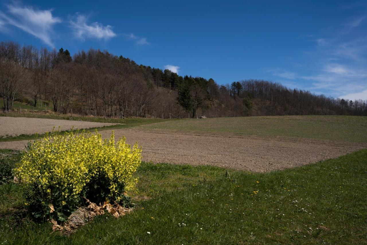 028 - Agriturismo "Il Boschetto" Con Piscina, Pace E Natura - Camera Familiare Cavizzano Kültér fotó