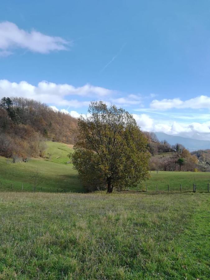 028 - Agriturismo "Il Boschetto" Con Piscina, Pace E Natura - Camera Familiare Cavizzano Kültér fotó