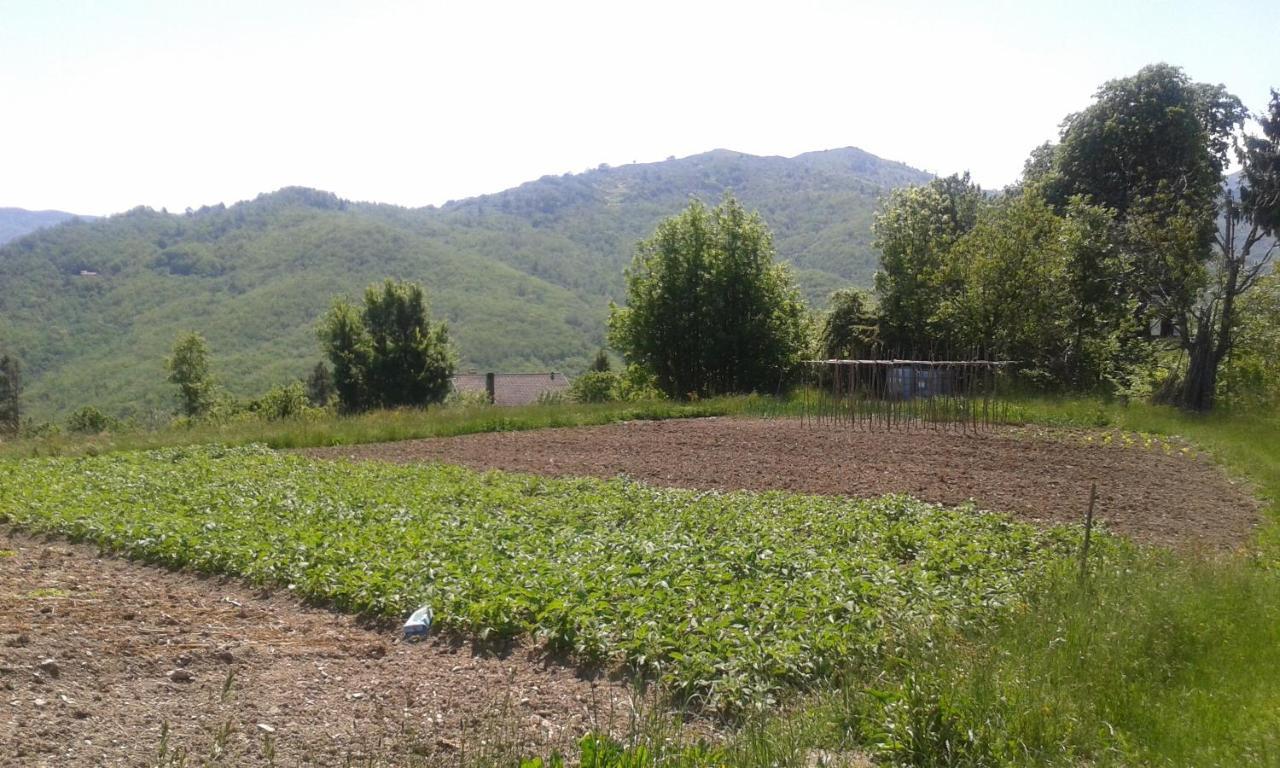 028 - Agriturismo "Il Boschetto" Con Piscina, Pace E Natura - Camera Familiare Cavizzano Kültér fotó