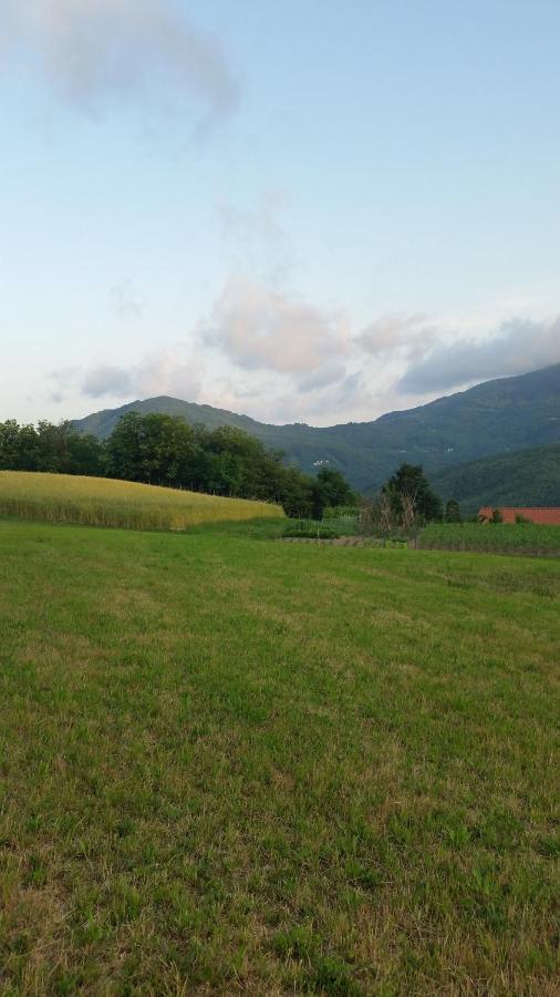 028 - Agriturismo "Il Boschetto" Con Piscina, Pace E Natura - Camera Familiare Cavizzano Kültér fotó
